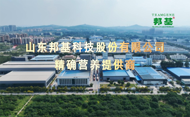 山东亿万先生科技股份有限公司官方网站