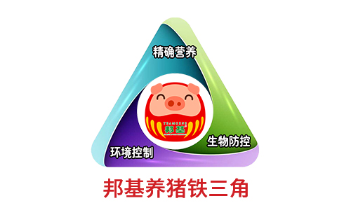 亿万先生养猪铁三角